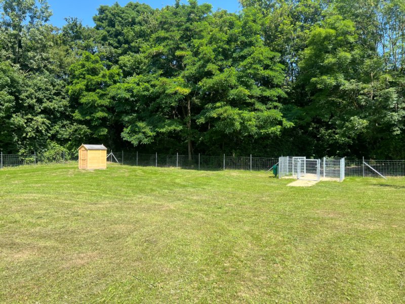 07jun_Hundewiese.jpeg